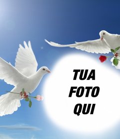 Effetto Foto di pace con due colombe bianche che volano