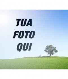 Collage con una foto di un paesaggio con un campo verde e cielo blu di mettere una foto accanto a un albero