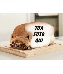 Cane a forma di pane con la parte posteriore per mettere le vostre fotografie. Cane