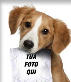 Fotomontaggio con cucciolo triste che cerca il suo proprietario che ha un ruolo nella bocca dove si può caricare una foto