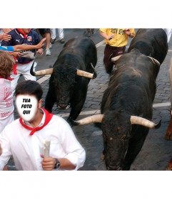 Creare un fotomontaggio correre con i tori di San Fermin a Pamplona si seguono e aggiungere testo