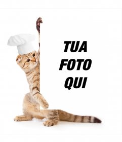 Fotomontaggio con un gatto vestito di chef in possesso di foto