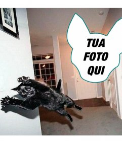 Fotomontaggio con un gatto saltando come se fosse unesplosione
