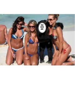 Creare questo fotomontaggio di essere una scimmia con tre ragazze in costume da bagno
