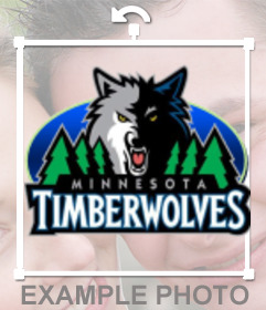 Sticker di Minnesota Timberwolves Logo