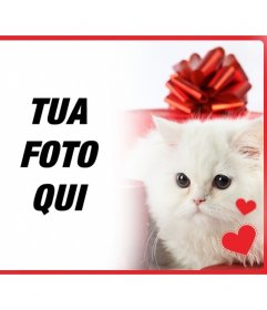 Cartolina romantica con il bianco gattino persiano con il cuore di fronte a una confezione regalo e la foto si carica online