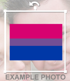 Bandiera della bisessualità per incollare in foto come un adesivo in linea