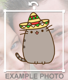Decor le tue foto con un gattino grasso con il cappello mariachi