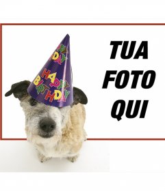 Compleanno Frame con un cucciolo con cappello di partito in primo piano