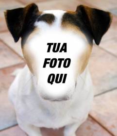 Fotomontaggio di un cane in cui è possibile inserire il vostro viso e gratis