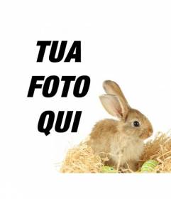 Fotomontaggio con un coniglio e uova di Pasqua da aggiungere alle tue foto online e gratis