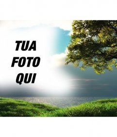 Fotomontaggio con un paesaggio con il mare sullo sfondo e un albero in campo verde dove è possibile caricare una foto che apparirà integrato con lazzurro del cielo