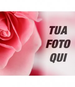 Fotomontaggio romantica con una rosa rosa e la sfocatura dello sfondo in cui sovrapporre una foto di te o il vostro partner