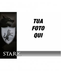 Fotomontaggio con lo scudo di casa Stark 