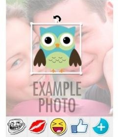 Sticker di un gufo per mettere le tue foto con leditor online di fuori