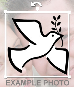 Sticker on-line per incollare la colomba bianca della pace in le tue foto 