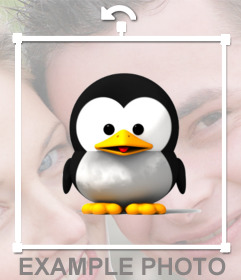 Un pinguino tenero come adesivo per aggiungere alle vostre foto preferite