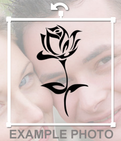 effetto Foto di indossare un tatuaggio di una rosa sulle tue foto e 