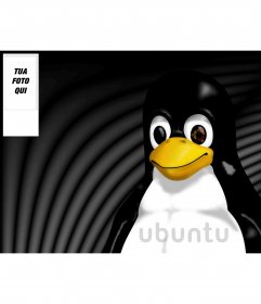 Sfondo per Twitter del Tux la mascotte di Linux dove si può mettere la tua foto