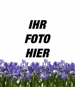 Erstellen Sie einen Avatar für Twitter oder Facebook mit lila Blumen auf deinem Profilbild online und kostenlos