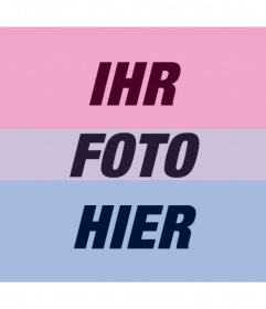 Filter von bisexuelle Flagge in Ihrer Fotos kostenlos