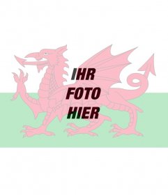Setzen Sie die Flagge von Wales in Ihren Fotos als Filter