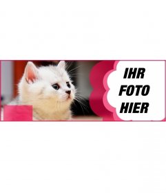 Benutzerdefinierte facebook mit einer weißen Katze und einer rosa Blume auf Ihr Bild und den Text, den Sie setzen decken