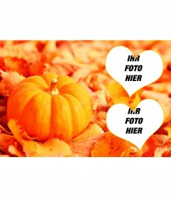 Collage für zwei Fotos mit einem Kürbis und fallenden Blätter 