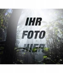Collage aus einem Foto in einem Wald von Natur und Bäumen, wo Sie ein Foto und Text hinzufügen können Online umgeben