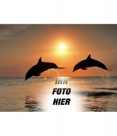 Collage mit Ihrem Foto und Delfine im Meer zu springen