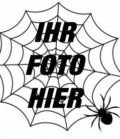 Setzen Sie ein Spinnennetz und eine Spinne in Ihr Foto, Terroreffekt