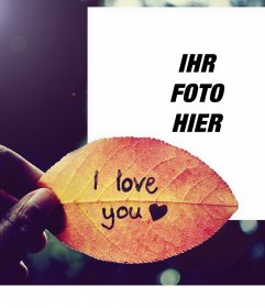 Foto-Effekt mit Ihrem Foto von einem Blatt zu bearbeiten mit den Worten: I LOVE YOU