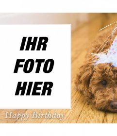 Foto Wirkung Geburtstag mit einem Hund für Ihr Foto 