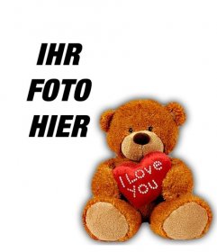 Profil-Foto mit einem Teddybär mit einem Herzen, um Ihr Facebook-oder Twitter-Profil Ihre anmelden