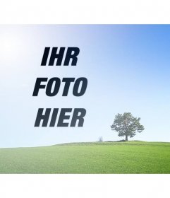 Collage mit einem Foto von einer Landschaft mit einem grünen Feld und blauen Himmel, um ein Bild neben einem Baum zu setzen