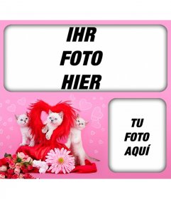 Romantische Fotomontage mit Kätzchen und Herzen mit einem rosa Hintergrund zwei