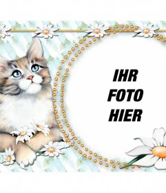 Fotomontage, um das Foto mit einem niedlichen Kätzchen setzen