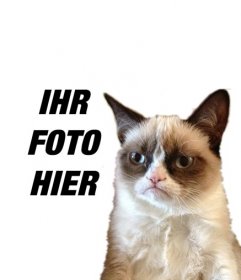 Fotomontage mit Grumpry Katze, meme, die berühmt geworden ist in der ganzen Internet