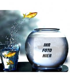 Erstellen Sie eine Fotomontage mit einem Tank voll Wasser mit gelben Fische springen aus dem Glas, wo Sie ein Bild gesetzt wird