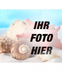 Fotomontage, um eine Collage mit Muscheln und Muscheln in den Sand am Strand an einem Foto von Ihnen machen