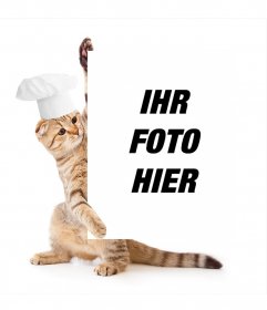 Fotomontage mit einer Katze in Koch hält Ihr Bild gekleidet