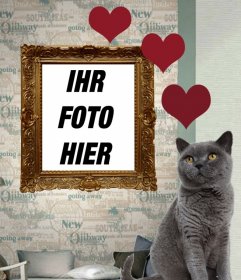 Fotomontage mit grauer russischer Katze