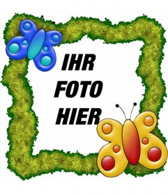 Photo Frame zu setzen ein Bild online mit Schmetterlingen und grünem Hintergrund
