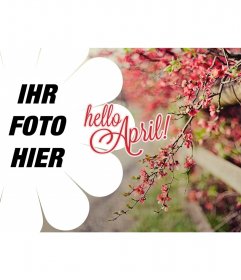 Frühling Wallpaper mit dem Text Hallo April!
