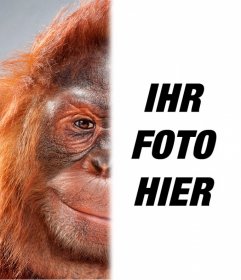 Fotomontage mit Halb Ihr Gesicht verwandelte sich in ein Orang-Utan
