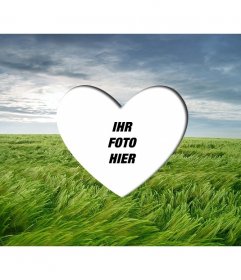 Liebe PhotoFrame ein romantisches Bild Herz auf einer Landschaft mit grünen Weizenfeld und blauer Himmel geformt setzen