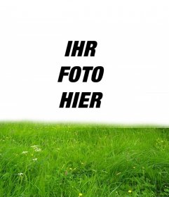 Bilderrahmen für grünes Gras in Ihrem Foto