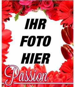 Fotorahmen von roten Blumen, wie Tulpen und Rosen, um das Foto auf den Hintergrund legen
