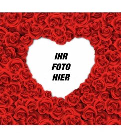 Fotorahmen mit Herz Form mit roten Rosen für einen romantischen Liebe Fotos gefüllt