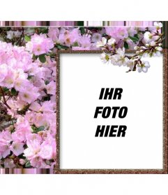 Fotorahmen für Online-Fotos Ihr Foto von weißen Blumen umgeben